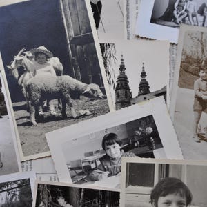 Puede incluir: Una colecci&oacute;n de fotograf&iacute;as antiguas en blanco y negro, algunas con acentos de color, que muestran personas, animales y edificios. Las fotos se muestran en una superficie con un patr&oacute;n de veta de madera clara.