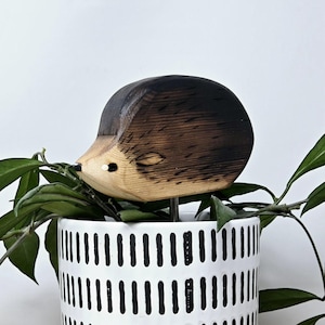 Egel, plantenvriend/decor