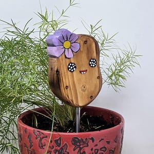 Aardappel , Plant Friend/decor