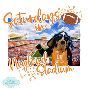 Zaterdagen in Neyland Stadium, png PNGEgg | Tennessee voetbal | DTF | Png |Sublimatie | 300 dpi
