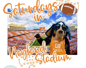 May include: A cartoon dog mascot wearing an orange jersey with the text "Tennessee Volunteers 00" stands in front of a packed football stadium. The text "Saturdays in Neyland Stadium" is written in orange and white lettering above the image.