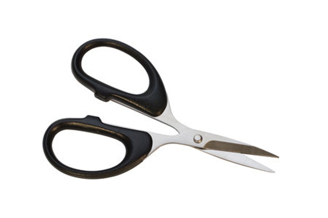 Professional Small Precision Scissors for Crafting and Collage and Paper  Cutting