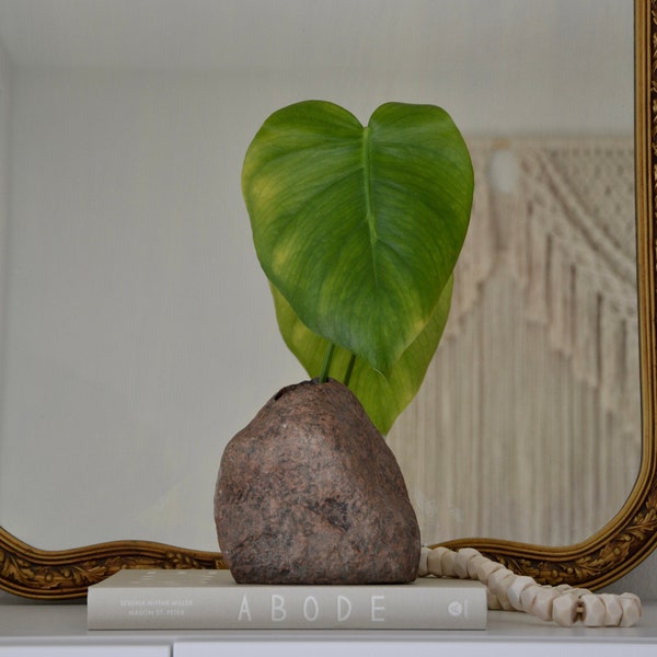 Earthy Organic Nature Decor Genuine Stone Vase / Rock Vase Beach Stone Vase / Natural Stone Vase