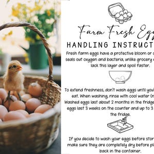 Puede incluir: Una cesta llena de huevos marrones y un pequeño pollito amarillo. El texto en el lado derecho de la imagen dice "Farm Fresh Eggs Handling Instructions" y proporciona información sobre cómo almacenar y lavar los huevos frescos.