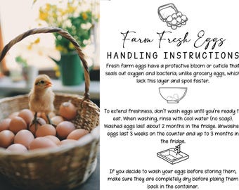 Farm Stand Display Posters | Egg Stand Posters | Canva Template | Farm Fresh Egg Stand | Honor System | Editable on Canva | Farm to Table