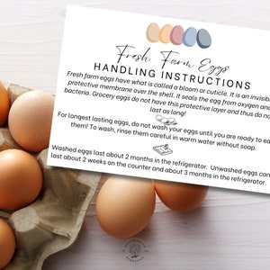 Instrucciones IMPRIMIBLES para el manejo de huevos frescos de granja / Tarjeta o pegatina imprimible / Descarga instantánea / PDF / Homestead Essentials / Egg Stand