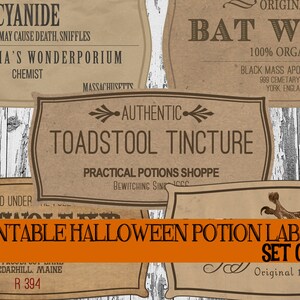 DIY Halloween Potion Label Printables, Halloween Bottle Labels, Apothecary Labels, Witch Scrapbook Embellishments, Digital Clip Art Print