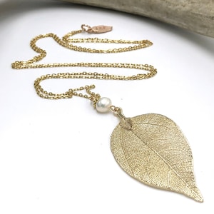 May include: A gold leaf pendant necklace with a single white pearl accent. The leaf is detailed with veins and has a textured surface. The chain is gold and has a delicate link style.