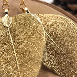 Pendientes de hoja de oro, pendientes de hoja real en oro, joyería natural, joyería de boda, regalo para ella, pendientes de hoja bañados en oro, hojas de oro real imagen 7