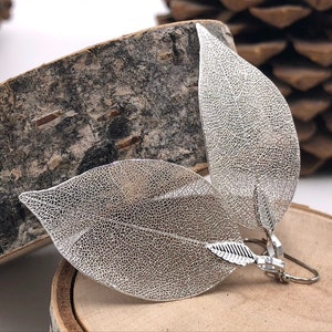 Silver Leaf Earrings, Real Leaf Earrings in Silver, Natural Jewelry, Wedding Jewelry, Gift for Her, Silver Plated Leaf Earrings, Real Leaves image 5