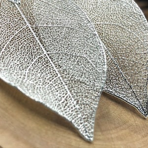 Silver Leaf Earrings, Real Leaf Earrings in Silver, Natural Jewelry, Wedding Jewelry, Gift for Her, Silver Plated Leaf Earrings, Real Leaves image 7