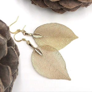 Real Leaf Earrings in Gold, Gold Plated Leaves, Nature Inspired, Natural, Gold Leaf, Gift for Mom, Leaf Jewelry, Gold Leaf Earrings, Real