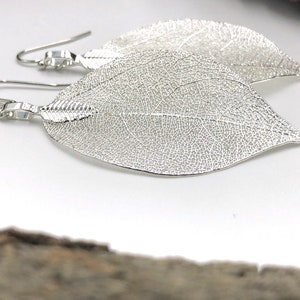 Silver Leaf Earrings, Real Leaf Earrings in Silver, Natural Jewelry, Wedding Jewelry, Gift for Her, Silver Plated Leaf Earrings, Real Leaves image 6