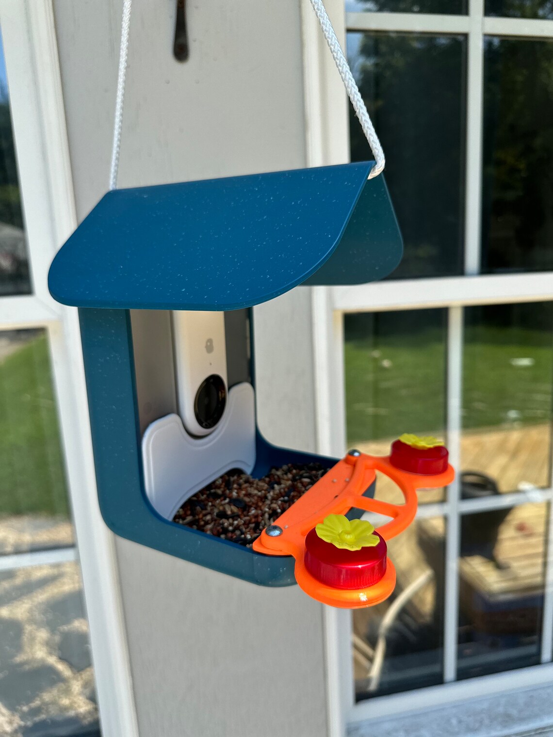 Bird Buddy Small Bird Protection Plus Squirrel Repair - Etsy