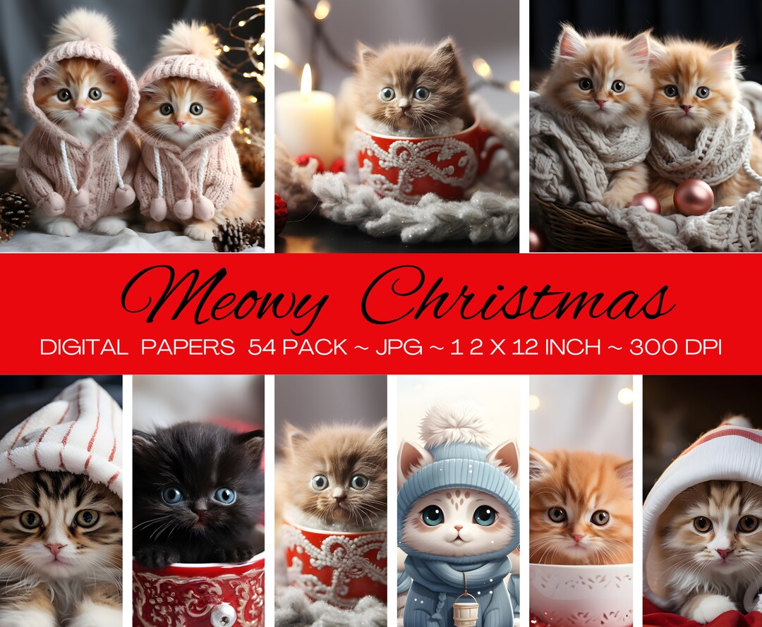 Micro Teacup Kitten/high Quality Digital Image/instant Etsy