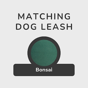 Pode incluir: Trela para cão combinando em verde escuro com a palavra "Bonsai" impressa em um rótulo preto.