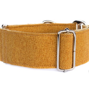Martingale dog collar, Yellow sighthound collar, Ochre 1.5&quot; or 2&quot; wide collar for Greyhound, Galgo, Whippet, Wolfhound, Galgina GECKO