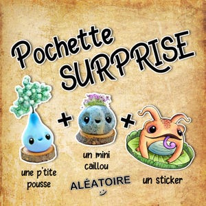 POCHETTE SURPRISE / mystery box / une p'tite pousse + un mini caillou + un sticker / Tout ALÉATOIRE / handmade création créature mignonne
