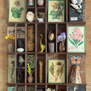 May include: A vintage wooden printer's tray filled with various objects. Includes botanical prints, seashells, a small dinosaur figurine, dried flowers, and a butterfly sticker. The tray is made of dark wood.
