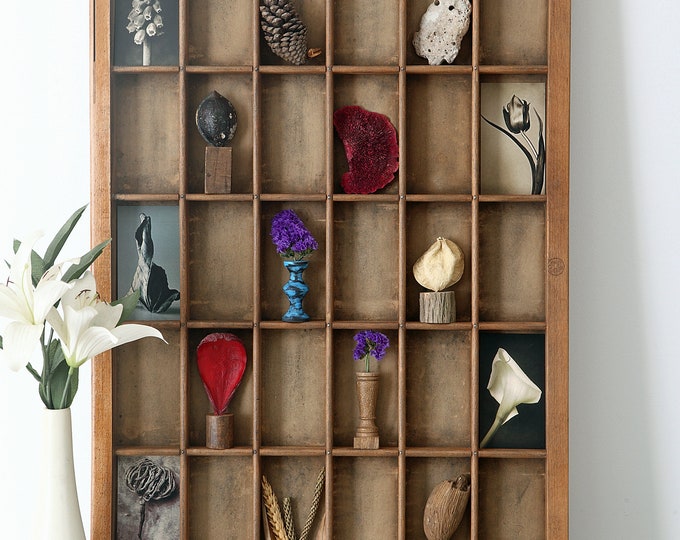 Large Wall Art Natural World Theme in a Great Vintage Etsy