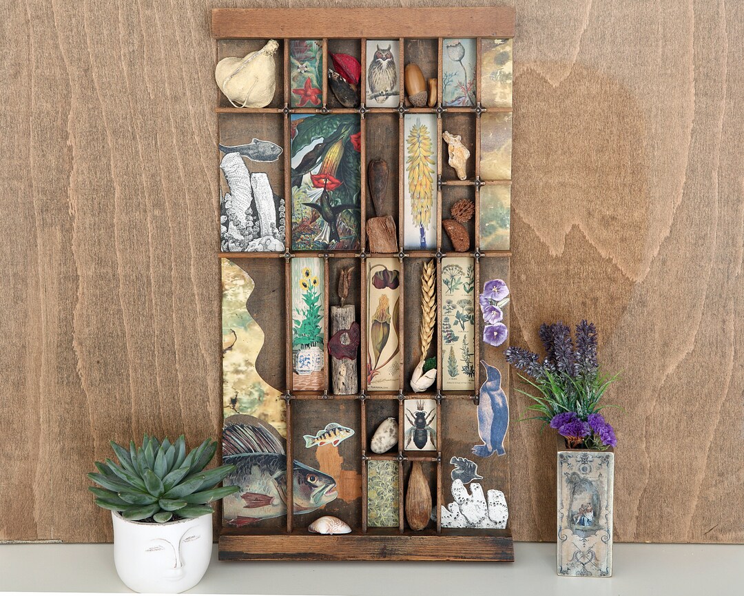 Great of Natural History Curios in an Old Vintage Letterpress