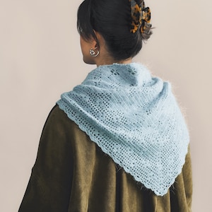May include: A light blue, crocheted shawl with a delicate openwork pattern. The shawl is draped over a dark green jacket. A tortoiseshell hair clip is visible in the person's dark hair. Silver hoop earrings complete the look. The shawl's texture and color create a soft, feminine aesthetic.