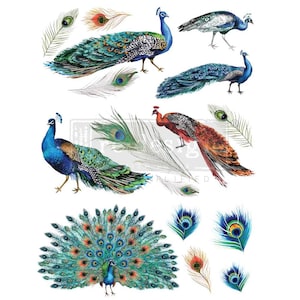 May include: A set of colorful peacock illustrations with intricate details. The peacocks are depicted in various poses, including a peacock with its tail feathers spread out, a peacock with its head held high, and a peacock with its wings spread out. The illustrations are perfect for adding a touch of elegance and beauty to any project.