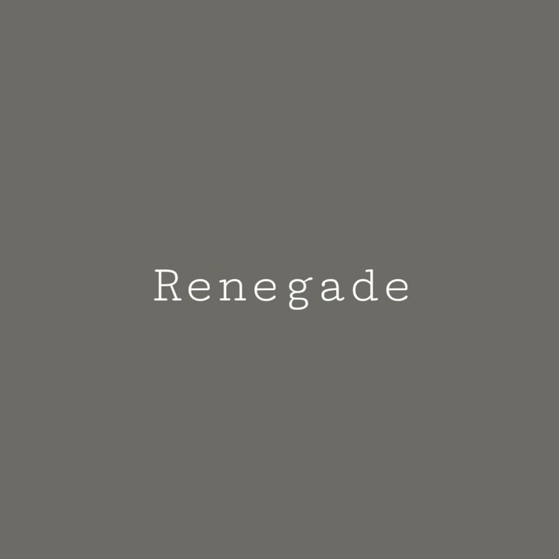 Renegade Melange ONE Artisan Mineral Paints Primer to Etsy