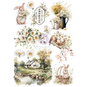 May include: A collage of watercolor illustrations featuring a bunny, flowers, birds, and a quaint cottage. The design includes daisies, a bird's nest with eggs, and the text "FRESH CUT FLOWERS". The color palette is soft, with whites, greens, and browns.