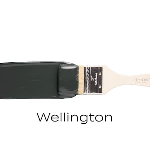 May include: A paint sample of Fusion Mineral Paint in the color Wellington, a dark green, with a paintbrush on top.