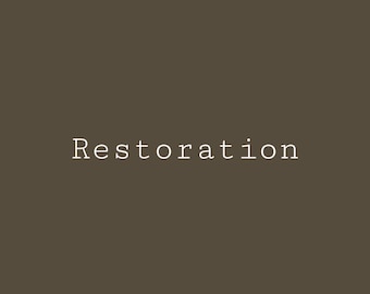 Restoration Bronze - Melange ONE Artisan Mineral Paint - Primer Topcoat In One - Ships Same Day - Furniture Paint - Flipping Fabulous Salina