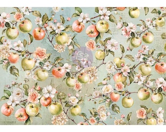 Homegrown Collection A3 Decoupage – 1 sheet, 11.7″x16.5″ - ReDesign With Prima -Decoupage Crafts 3 Girls Tale