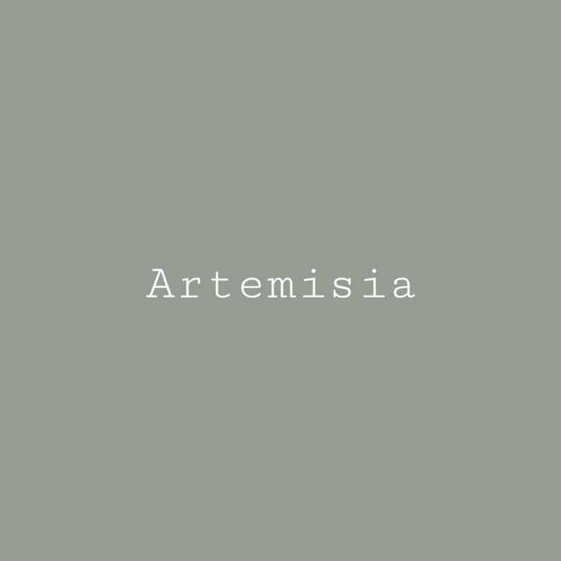 Artemisia Melange Mineral Paint