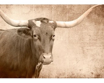 Texas Longhorn - Mint by Michelle Decoupage Paper - Free Shipping Eligible - Flipping Fabulous Salina - Furniture Decoupage