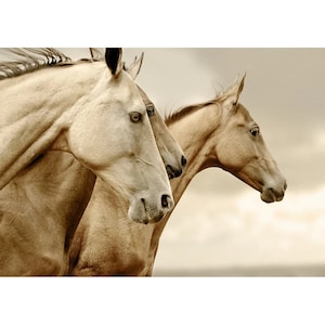 Sepia Horses - Mint by Michelle Decoupage Paper - Free Shipping Eligible- Flipping Fabulous Salina - Furniture Decoupage