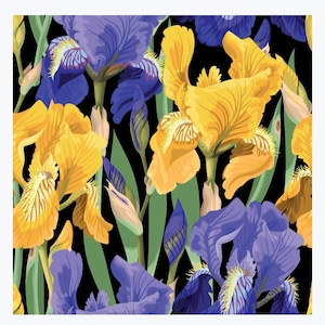 Dixie Belle Paint - Floral on Black - Decoupage Paper - Flipping Fabulous Salina - Elite Retailer - Fast Shipping