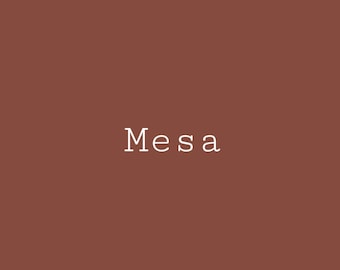 Mesa - Melange ONE Artisan Mineral Paint - Primer To Topcoat In One - Ships Same Day - Furniture Paint - Flipping Fabulous Salina