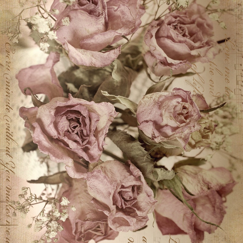 Decoupage Roses - Etsy