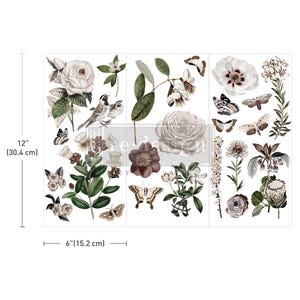 Small Transfers – Secret Garden – 3 sheets, 6″x12″ - Rub On Transfer - ReDesign With Prima - Furniture Upcycling -DIY Decor
