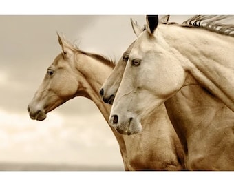 Sepia Horses - REVERSED - Mint by Michelle Decoupage Paper - Free Shipping Eligible- Flipping Fabulous Salina - Furniture Decoupage