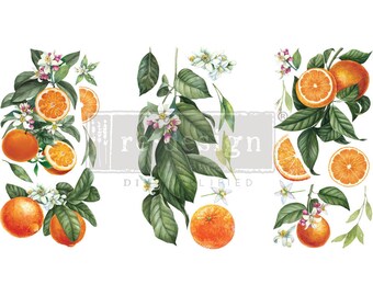 Citrus Slice Rub On Transfer - ReDesign With Prima - Furniture Upcycling - DIY Decor - Flipping Fabulous Salina