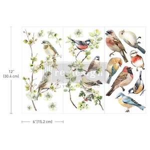 Small Transfers – Nestled Whispers – 3 sheets, 6″x12″″ - Rub On Transfer - ReDesign With Prima - Furniture Upcycling -DIY Decor