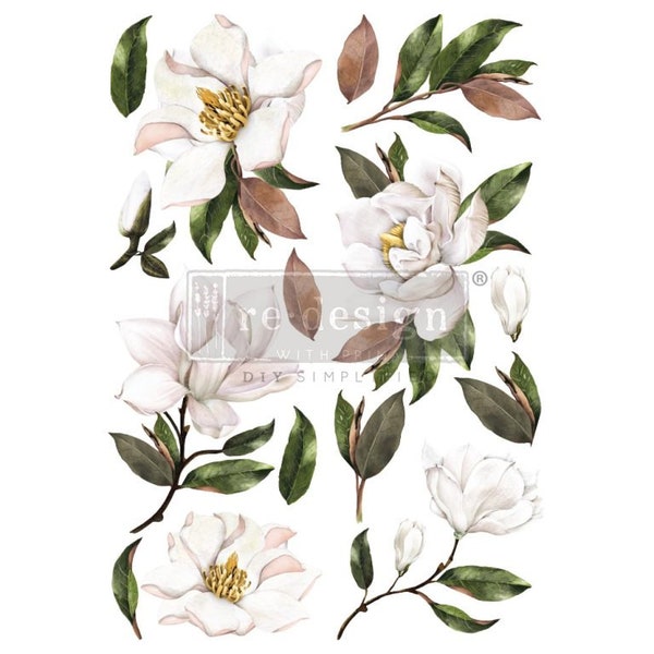 Magnolia Grandiflora Rub On Transfer - ReDesign With Prima - Furniture Upcycling - DIY Decor - Flipping Fabulous Salina