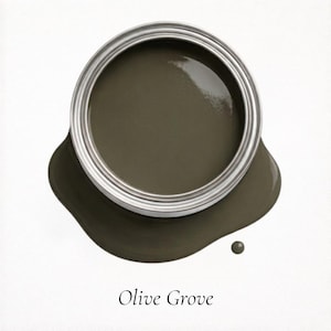 May include: An open paint can with a silver rim, filled with olive green paint. A small amount of paint has spilled out, forming a puddle. The text "Olive Grove" is written below the can.