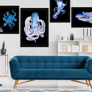May include: Four framed illustrations of blue and white octopuses and squid on a white wall above a blue sofa. The illustrations are on a black background.