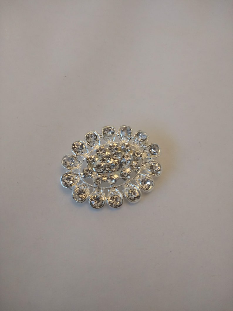 sparkly brooch