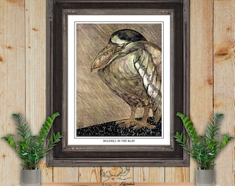 Boatbill In The Rain by Theo van Hoytema Giclee Fine Art Print - Bird Lover Gift - Art Nouveau Wall Art - Bird Illustration - Birder Gift