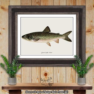 Great Lake Trout Print - Trout Fisherman Gift - Angler Gift - Great Lake Trout Poster - Trout Fishing Wall Art - Rustic Fishing Wall Decor