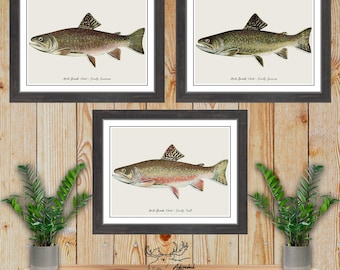 Male Brook Trout Print Set of 3 - Fly Fisherman Gift - Trout Angler Gift - Trout Posters - Rustic Fishing Wall Art - Vintage Fishing Decor