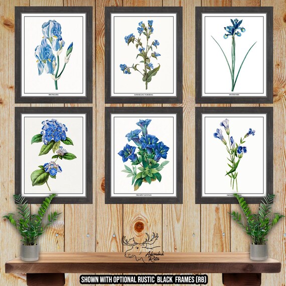 Blue Botanical Prints - Blue Floral Wall Art - Set of 6 Blue